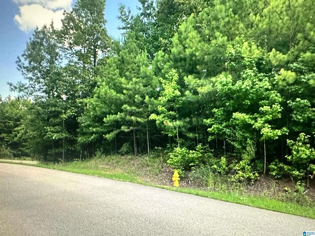 0 Whippoorwill Ln Unit 1, Calera, AL 35040