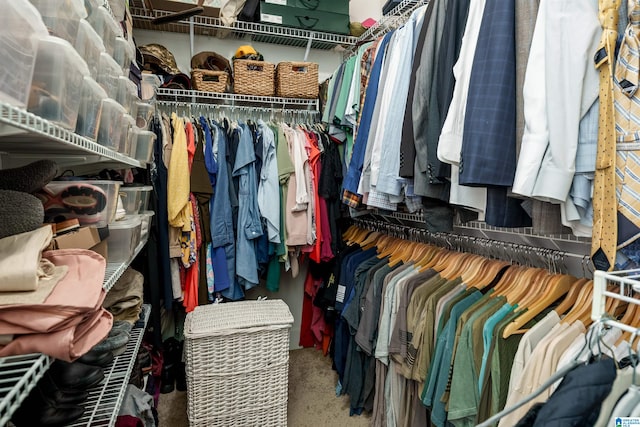 view of spacious closet