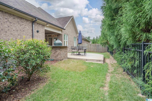 view of yard featuring exterior kitchen and a patio area