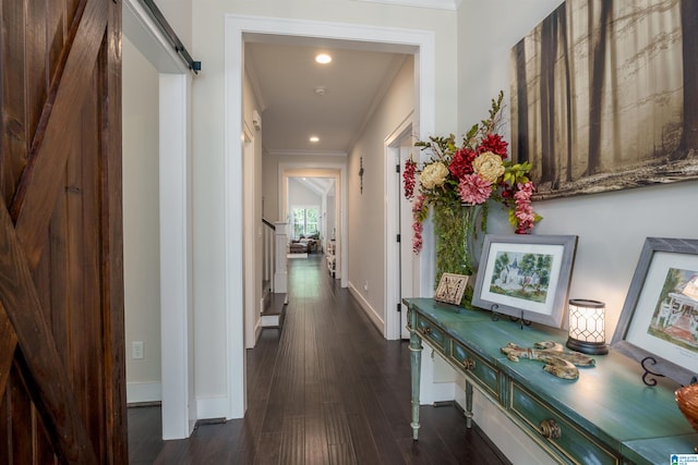 hall with ornamental molding, a barn door, and dark hardwood / wood-style floors