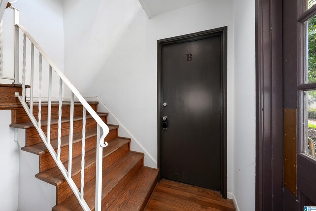 entryway featuring plenty of natural light and wood-type flooring