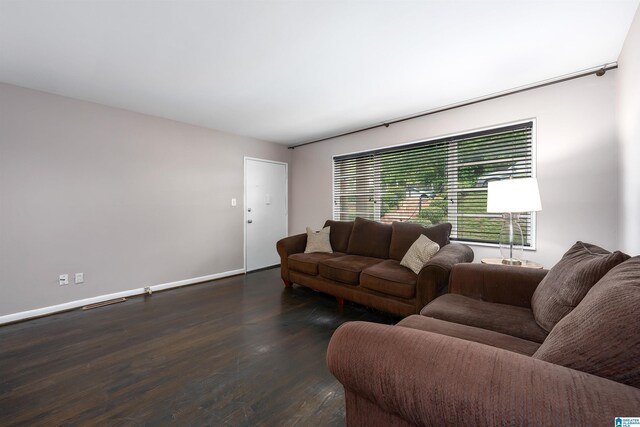 living room with dark hardwood / wood-style flooring