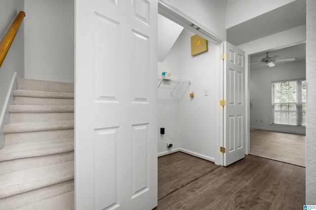 clothes washing area featuring dark hardwood / wood-style flooring and ceiling fan