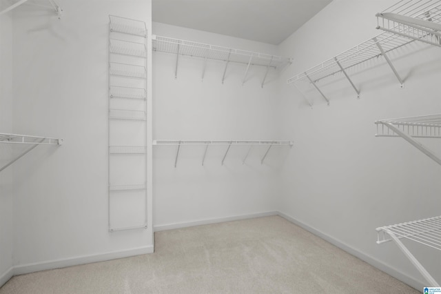 walk in closet with carpet floors