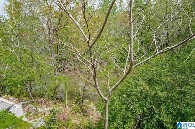 view of local wilderness featuring a water view