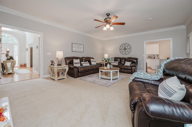 living room featuring ceiling fan and crown molding