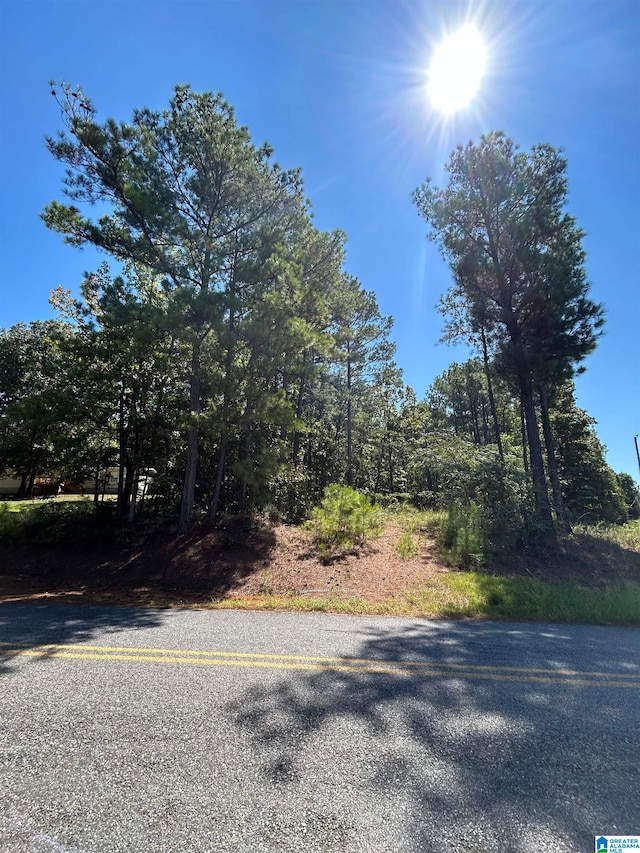 0 Mcgowans Ferry Rd Unit 0, Childersburg AL, 35044 land for sale