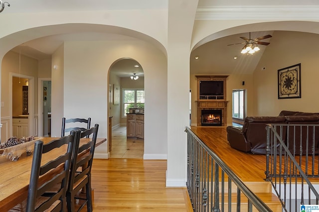 dining area featuring lofted ceiling, light hardwood / wood-style flooring, and ceiling fan