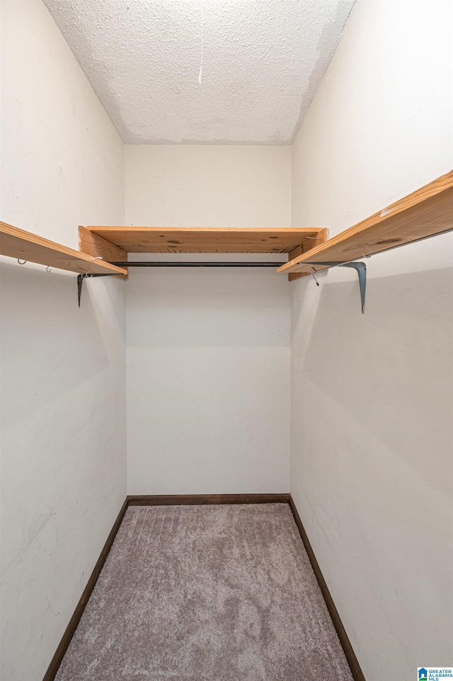 walk in closet featuring carpet