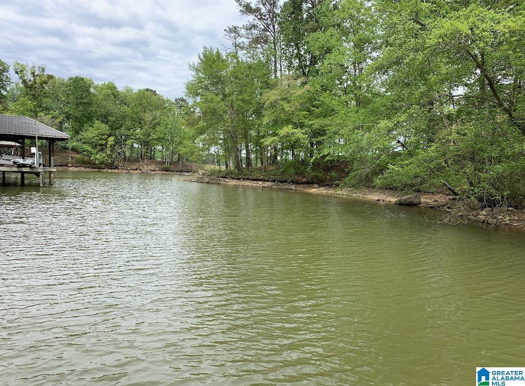 447-1 Eagle Pointe Dr Unit 9, Pell City, AL 35128