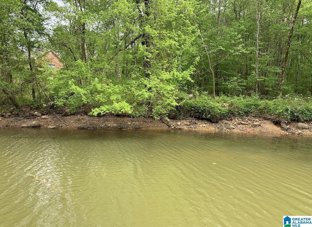 447-1 Eagle Pointe Dr Unit 9, Pell City, AL 35128