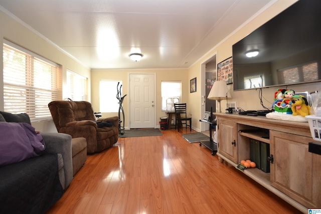 living room featuring wood-type flooring and crown molding