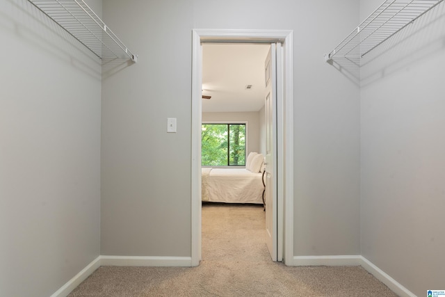 spacious closet featuring light carpet