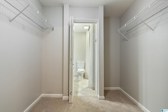 spacious closet featuring light carpet