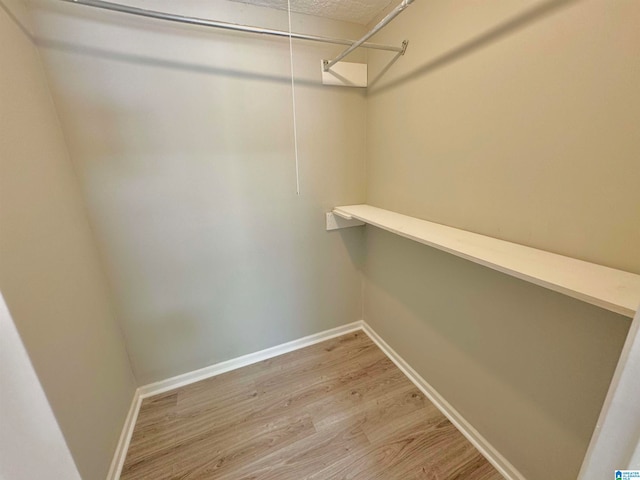 spacious closet with hardwood / wood-style flooring