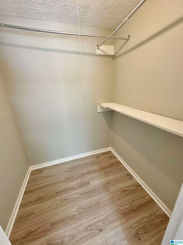 spacious closet featuring hardwood / wood-style flooring