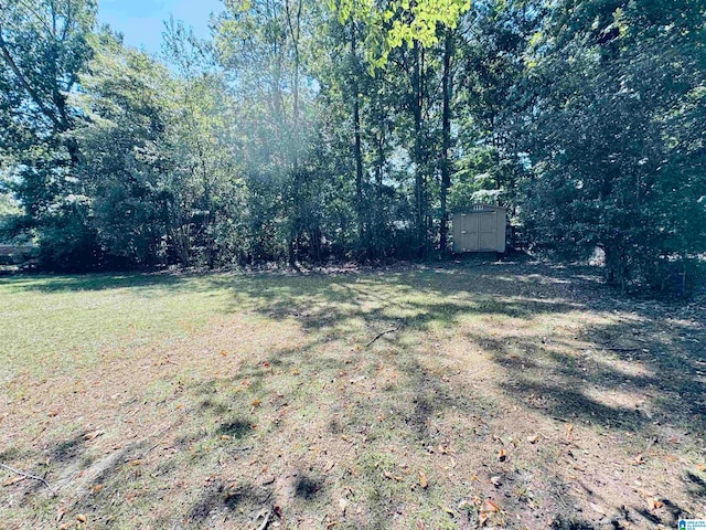 view of yard with a storage unit