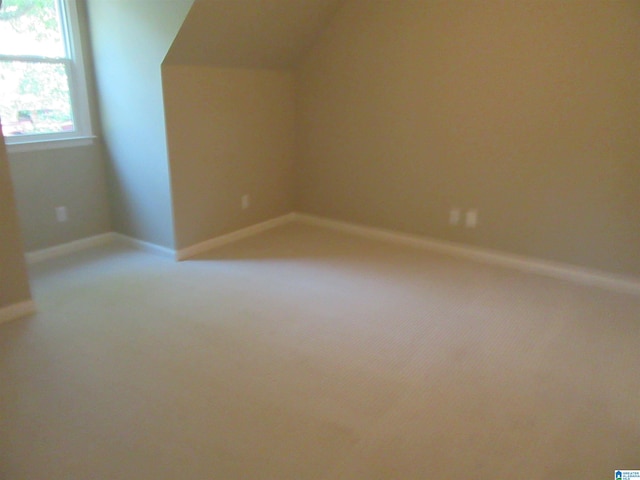 bonus room featuring carpet floors