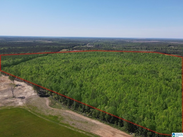 160ACRES County Road 73 Unit 2000-3000, Randolph AL, 36792 land for sale