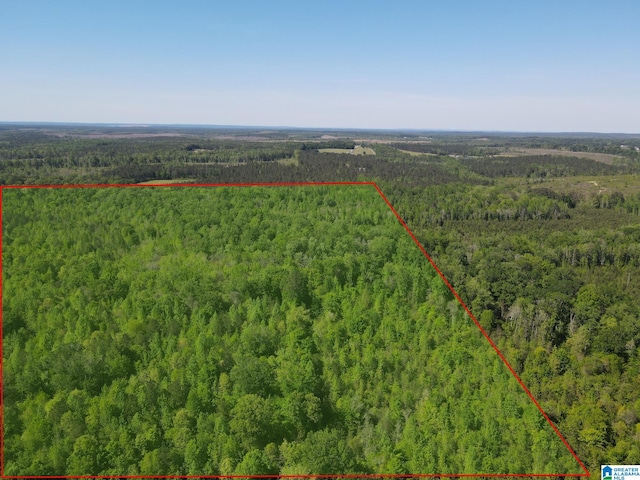 Listing photo 2 for 160ACRES County Road 73 Unit 2000-3000, Randolph AL 36792