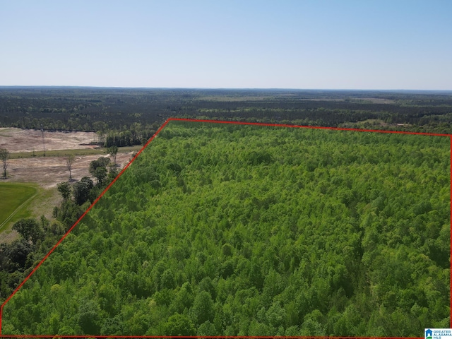 Listing photo 3 for 160ACRES County Road 73 Unit 2000-3000, Randolph AL 36792