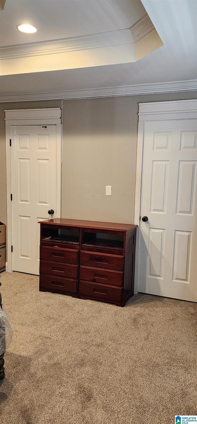 interior details with a raised ceiling and crown molding