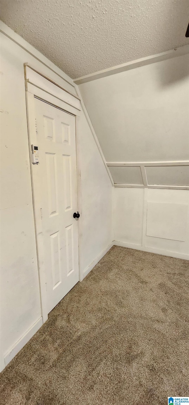 additional living space featuring carpet and a textured ceiling