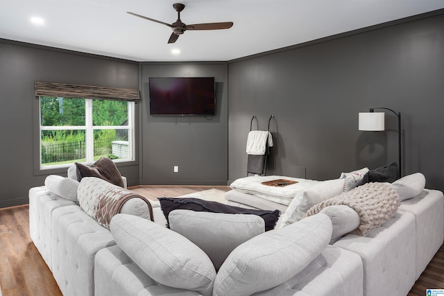 living room featuring ceiling fan and wood-type flooring