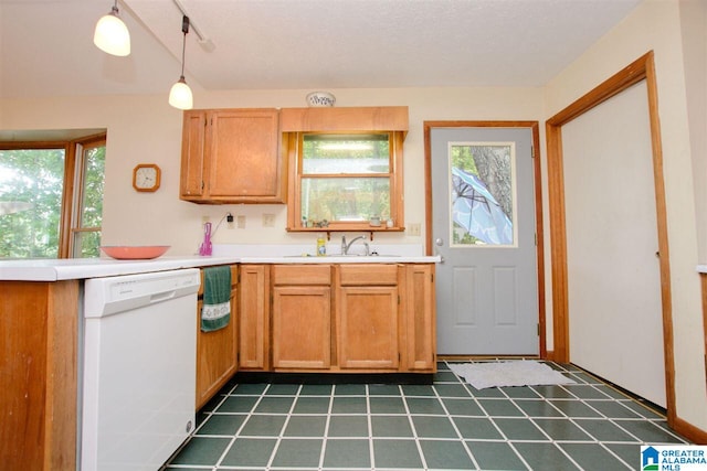 kitchen featuring white dishwasher, a wealth of natural light, sink, and track lighting