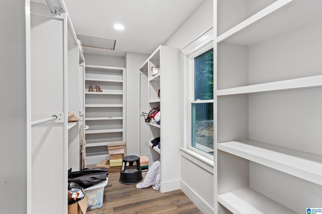 walk in closet featuring hardwood / wood-style flooring