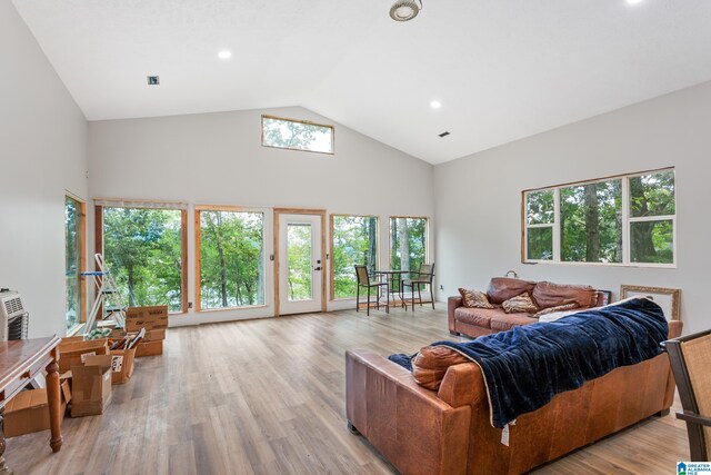 living room featuring high vaulted ceiling and wood-type flooring