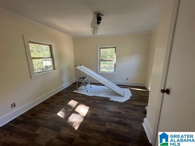 interior space with crown molding and dark hardwood / wood-style floors