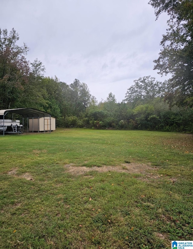 view of yard featuring a carport