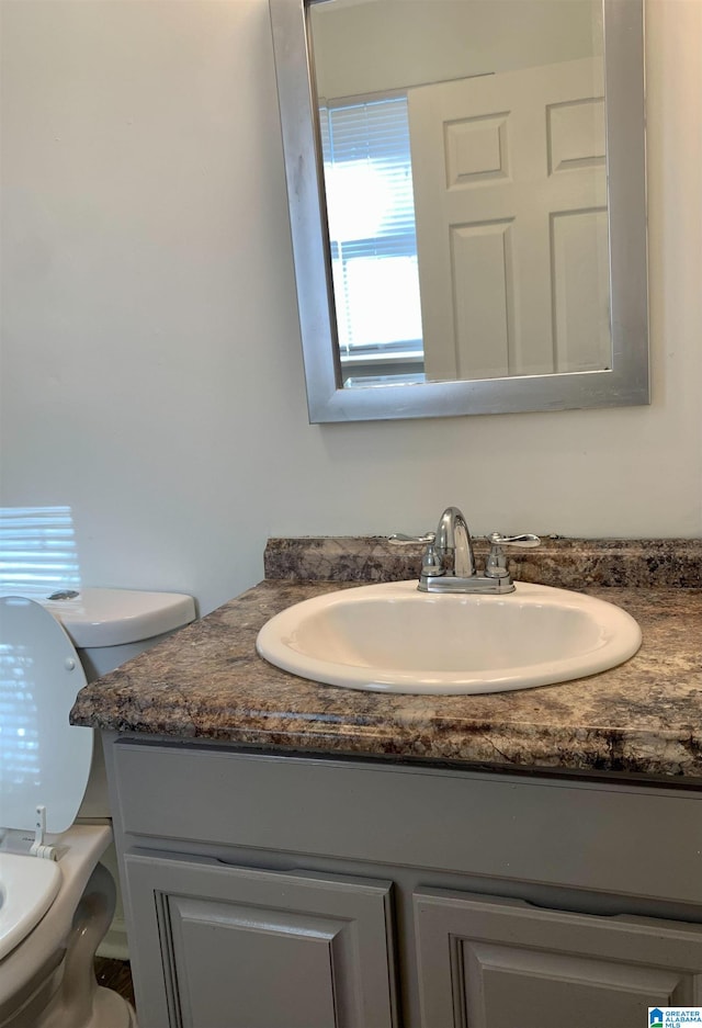 bathroom with vanity and toilet