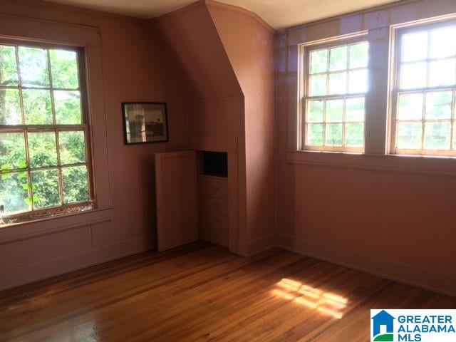 bonus room with lofted ceiling and hardwood / wood-style floors