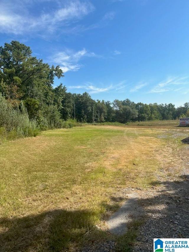 view of local wilderness featuring a rural view