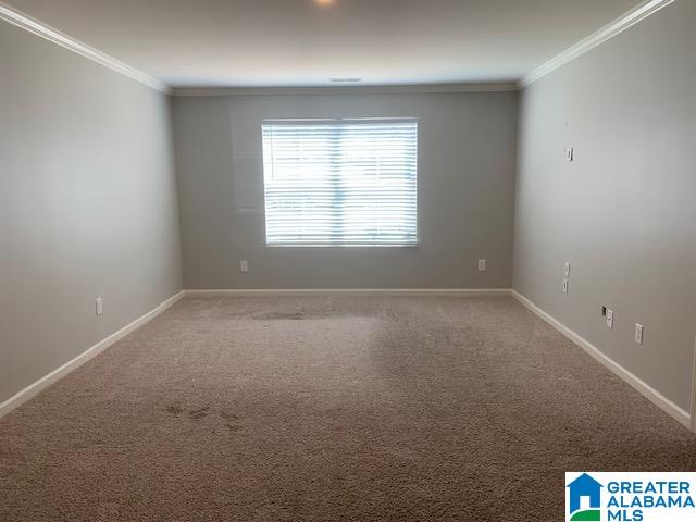 spare room with crown molding and carpet