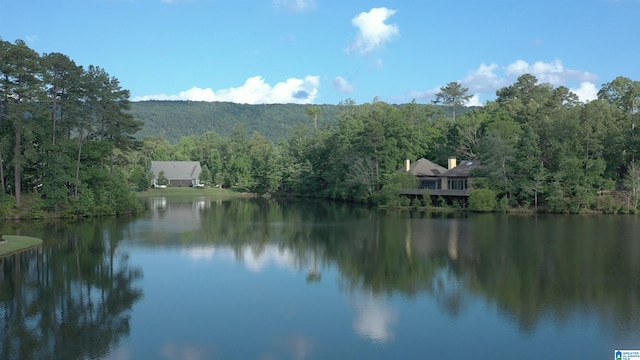 property view of water