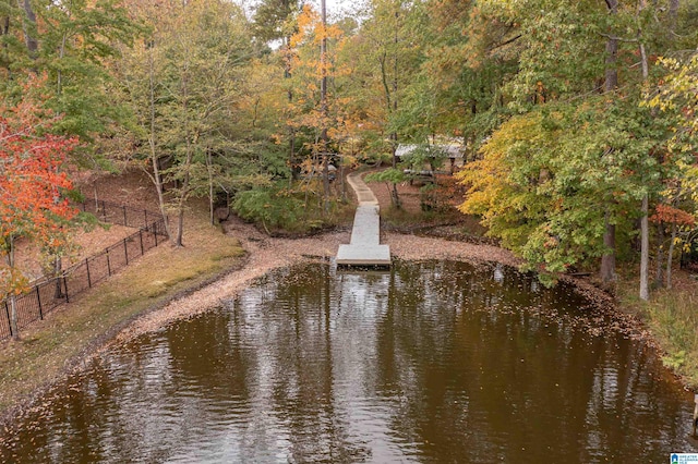 water view featuring a dock