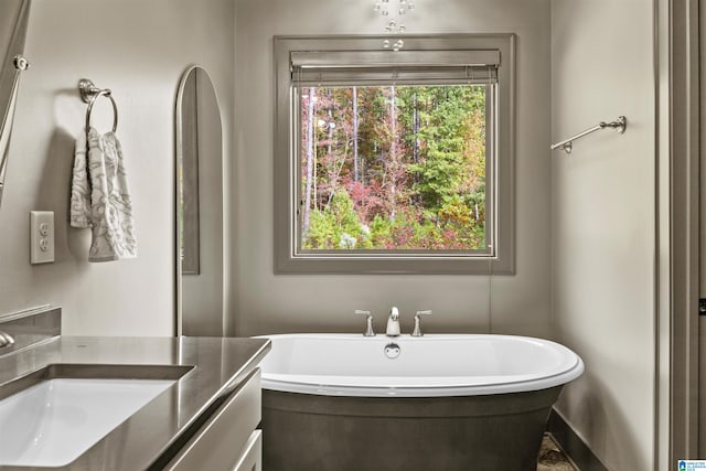 bathroom featuring vanity and a bath