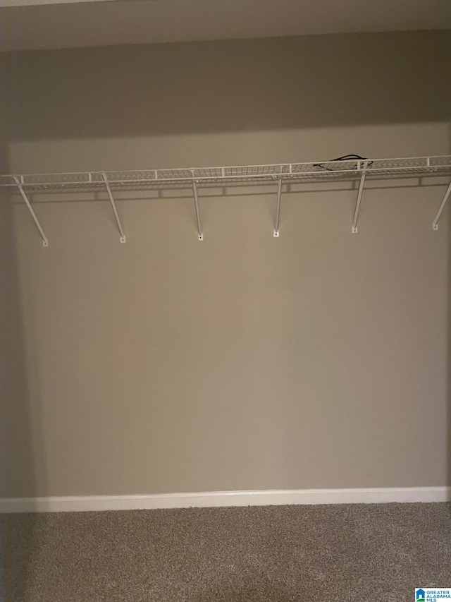 spacious closet featuring carpet