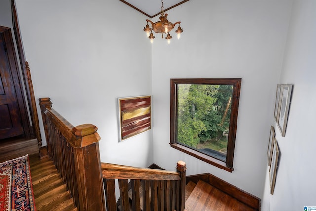 stairs with hardwood / wood-style flooring and an inviting chandelier