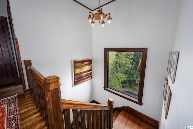 stairs featuring wood finished floors