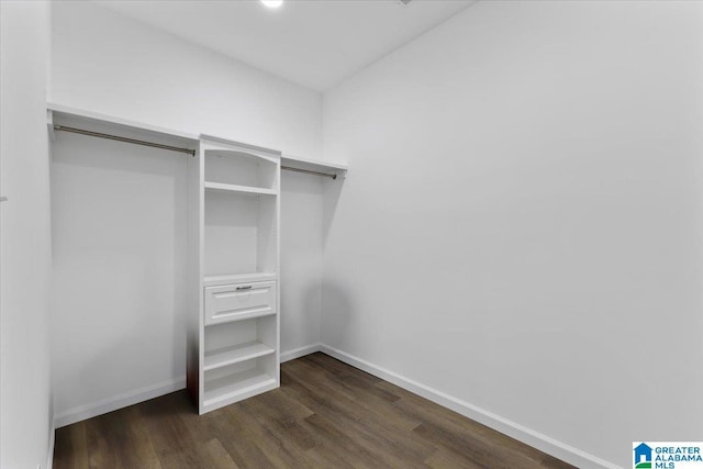 walk in closet with dark hardwood / wood-style floors