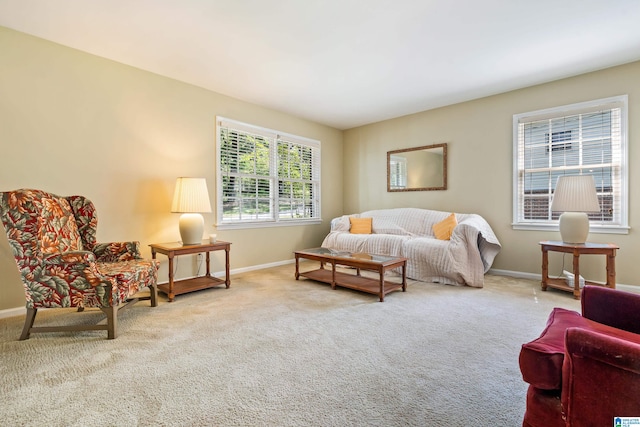 bedroom featuring carpet flooring