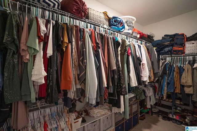 spacious closet with carpet flooring