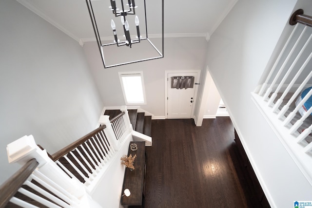 entryway with dark hardwood / wood-style flooring, crown molding, and an inviting chandelier