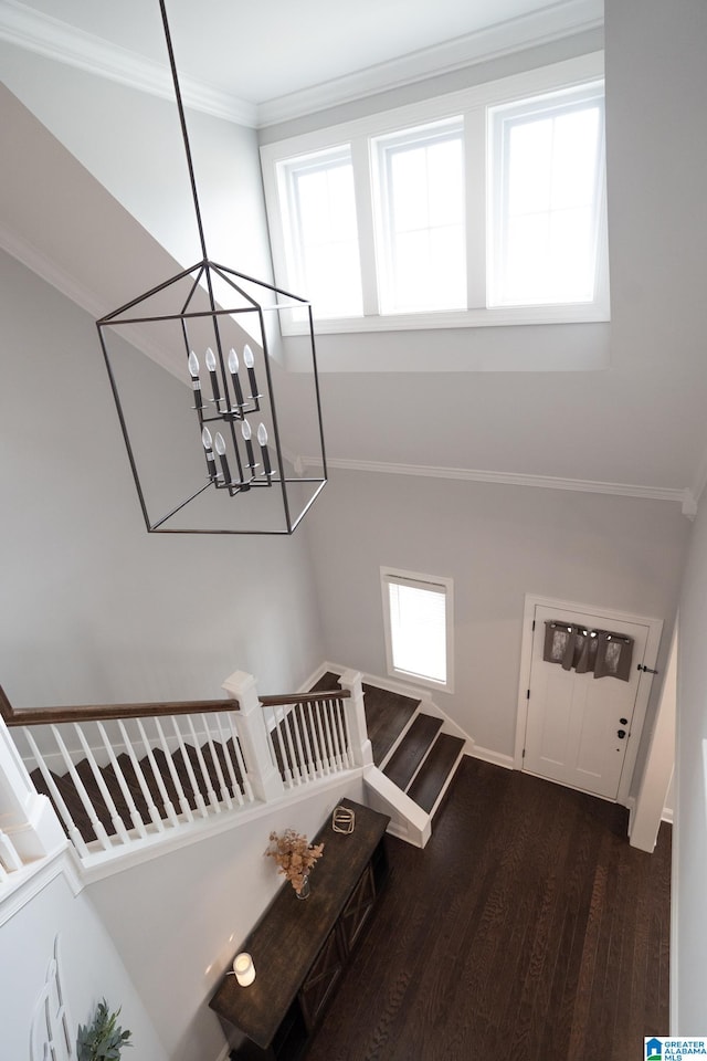 staircase with hardwood / wood-style floors, a chandelier, and ornamental molding