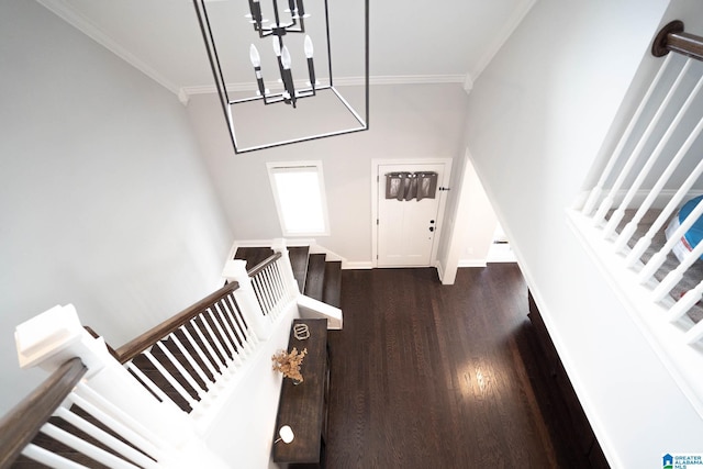 foyer with a chandelier, crown molding, and dark wood-type flooring