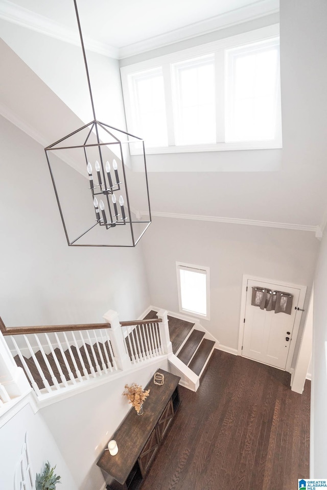 stairs featuring wood-type flooring, an inviting chandelier, and crown molding